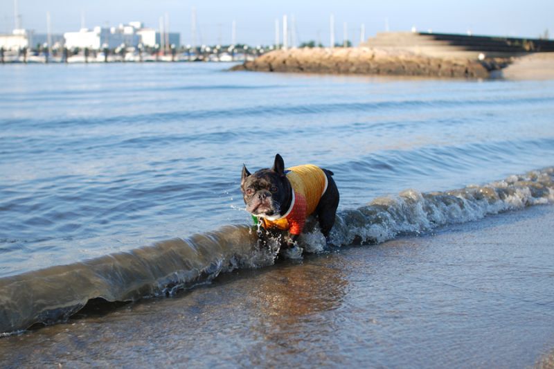 海へ