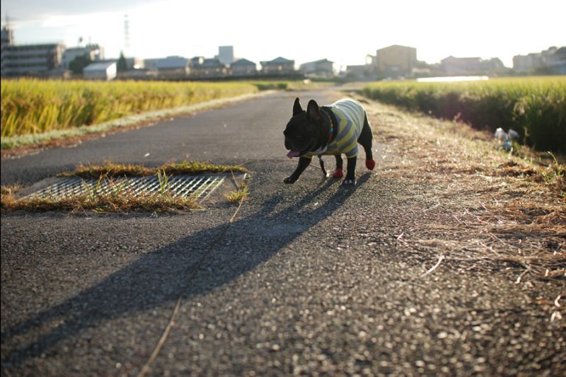 発送状況